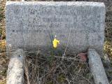 image of grave number 295064